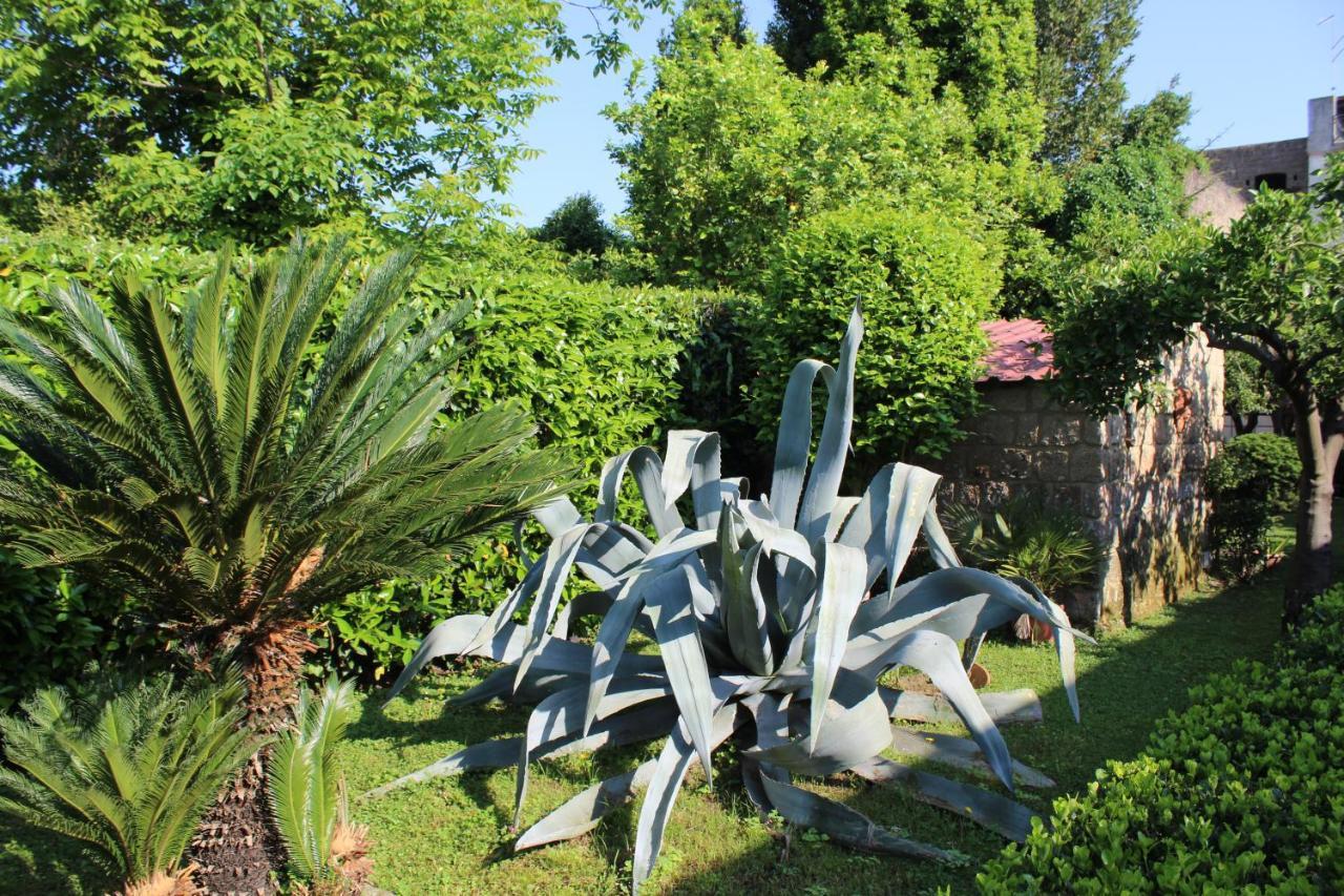 Il Giardino Degli Agrumi 卡塞塔 外观 照片