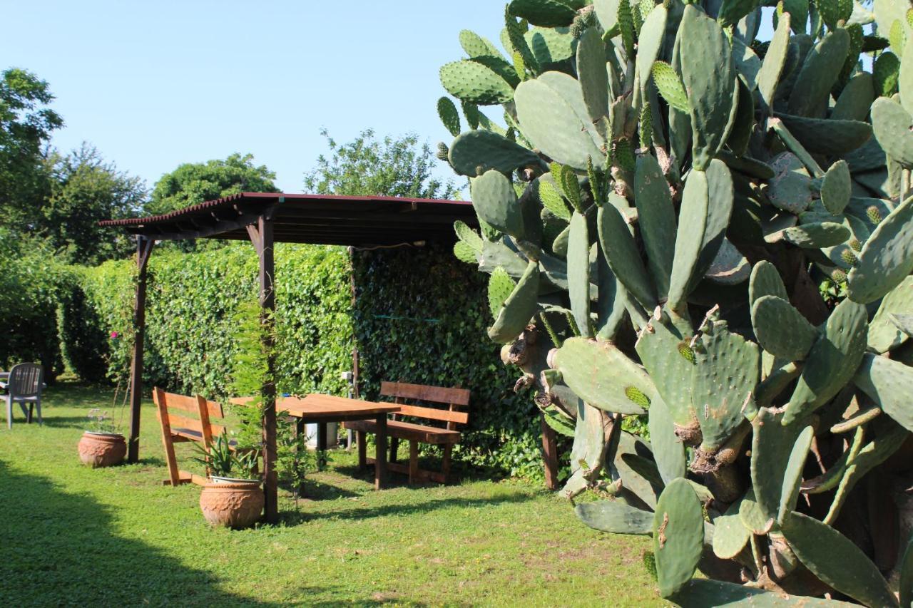 Il Giardino Degli Agrumi 卡塞塔 外观 照片