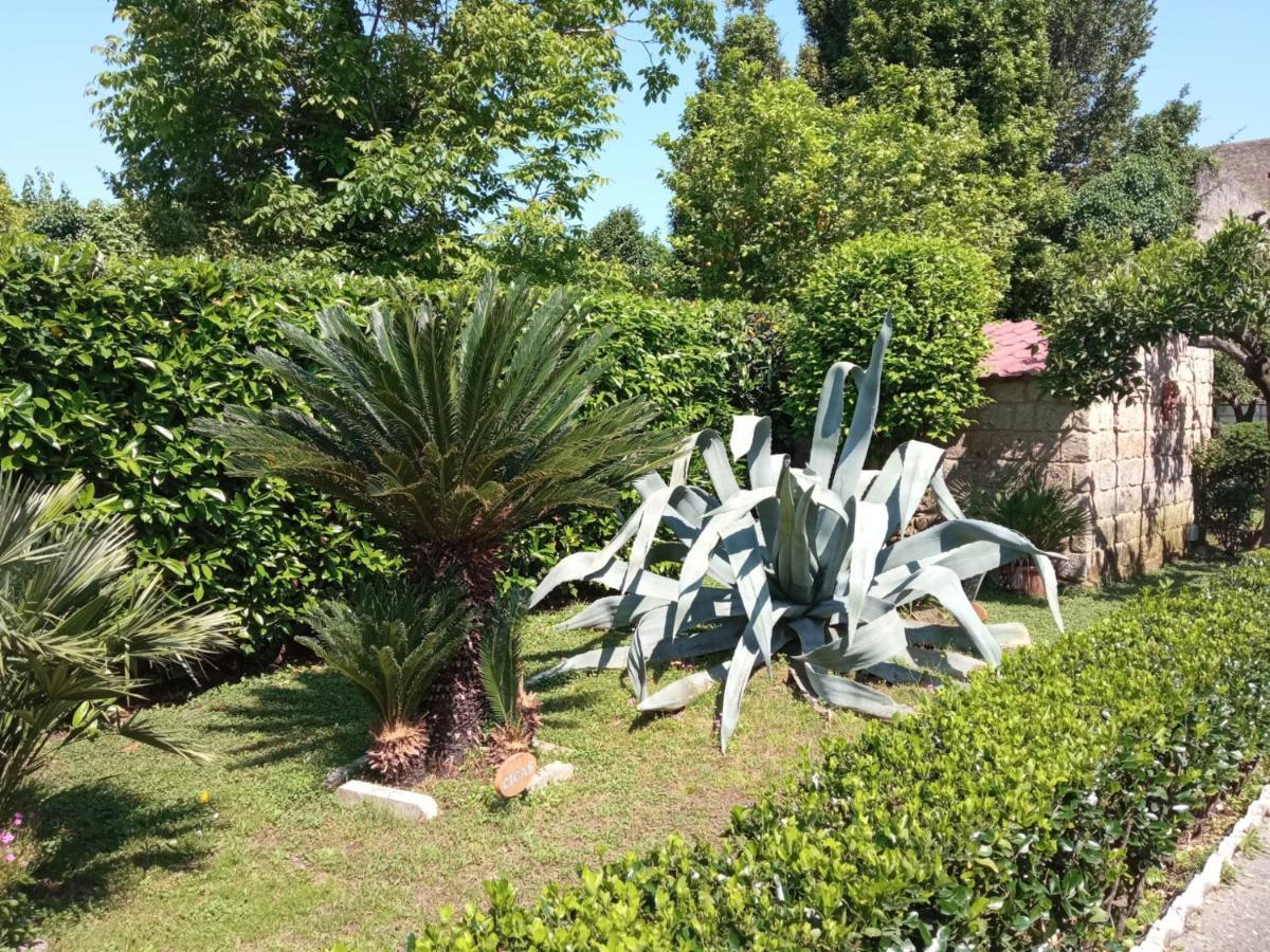 Il Giardino Degli Agrumi 卡塞塔 外观 照片