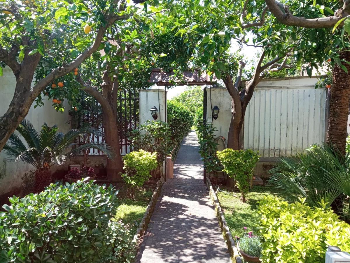Il Giardino Degli Agrumi 卡塞塔 外观 照片