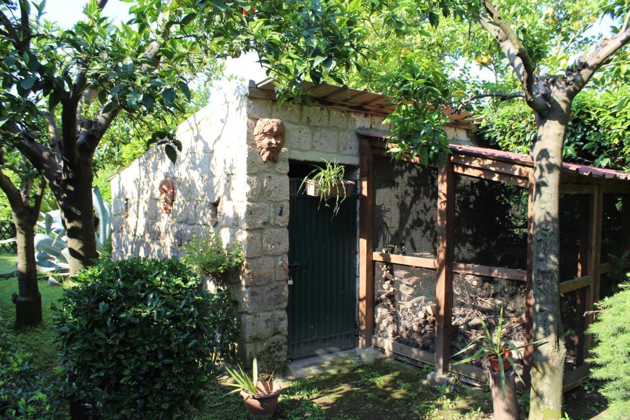 Il Giardino Degli Agrumi 卡塞塔 外观 照片