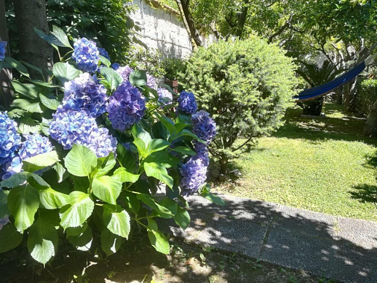 Il Giardino Degli Agrumi 卡塞塔 外观 照片