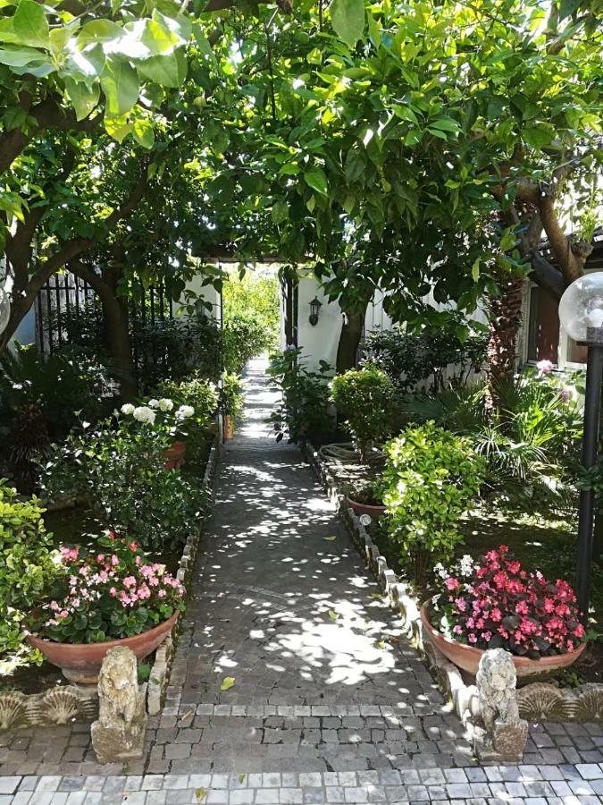 Il Giardino Degli Agrumi 卡塞塔 外观 照片