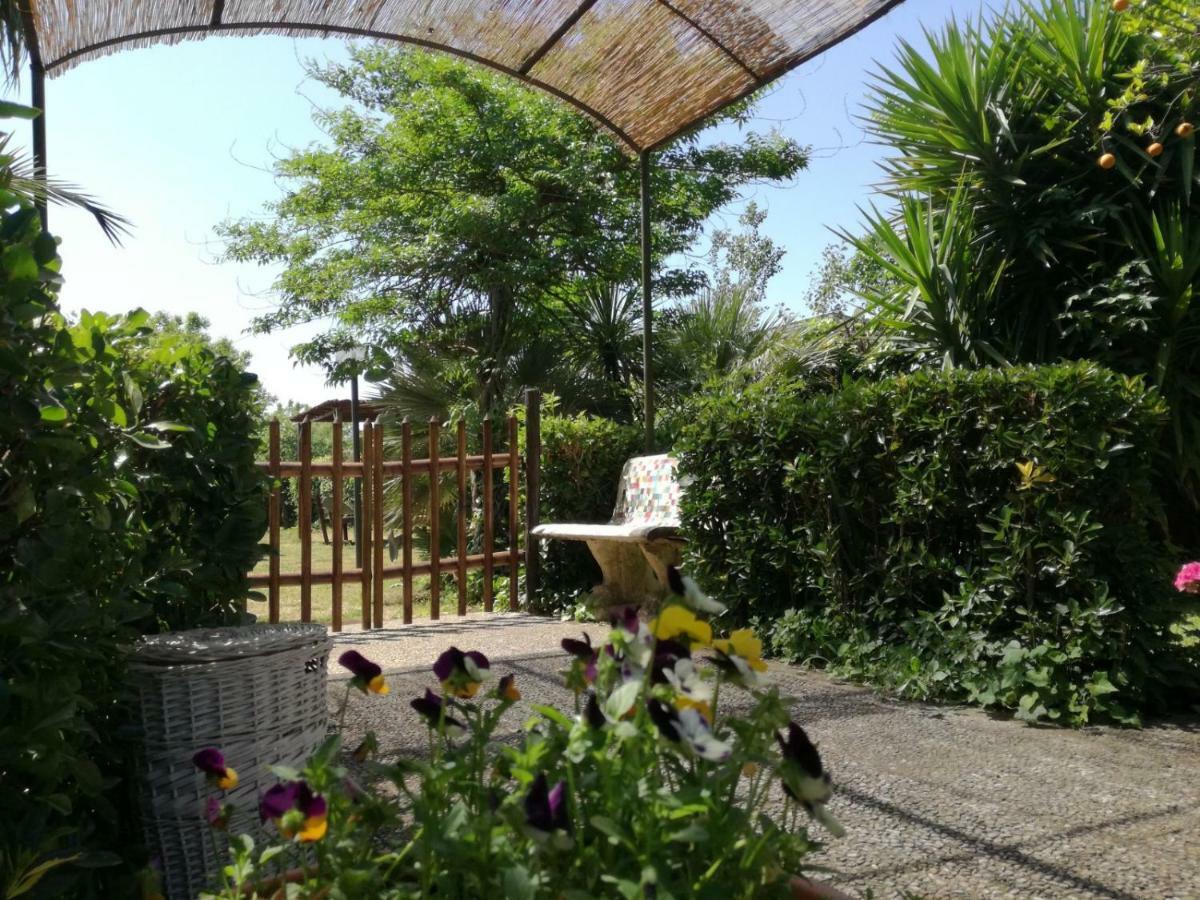 Il Giardino Degli Agrumi 卡塞塔 外观 照片
