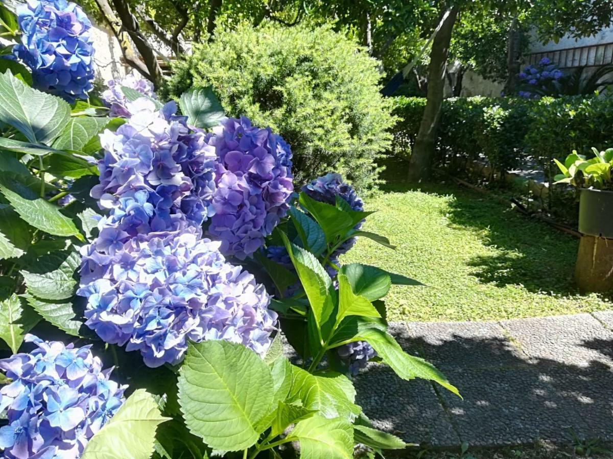 Il Giardino Degli Agrumi 卡塞塔 外观 照片